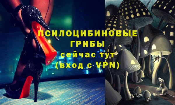 прущая мука Алзамай