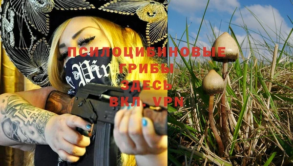 мяу мяу мука Алексин