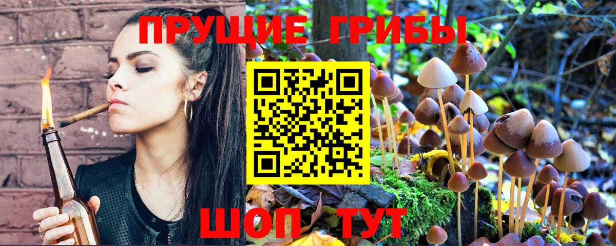 Псилоцибиновые грибы мицелий  Галлюциногенные грибы ЛСД  Вязники 